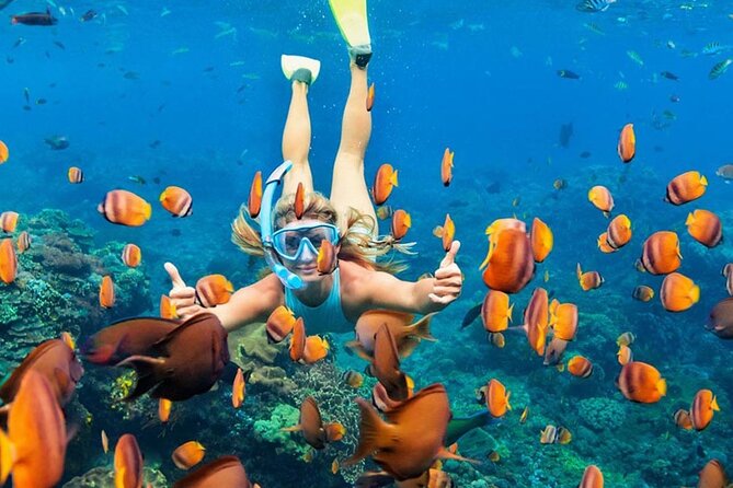 Snorkeling adventure to the manta ray habitat in Nusa Penida - Crystal Bay and the “manta-country” idea