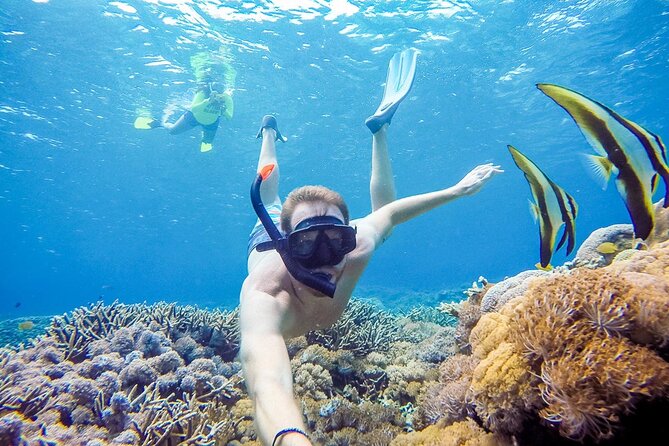 Snorkeling adventure to the manta ray habitat in Nusa Penida - Meeting point and how the day flows in practice