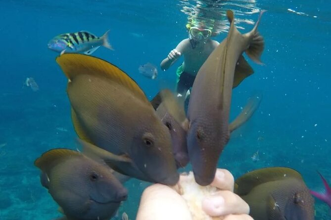 Snorkeling Adventure with East Nusa Penida Tour All Inclusive - Lunch, water, and AC transport: how the tour keeps you moving