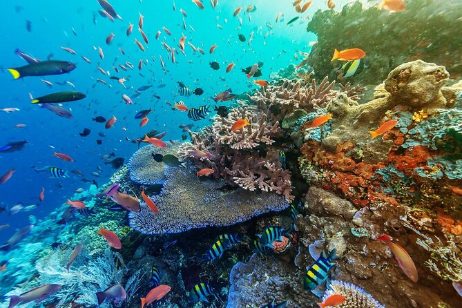 Snorkeling Adventure with East Nusa Penida Tour All Inclusive - Fast-boat ride from Bali to Nusa Penida: quick, but don’t ignore motion sickness