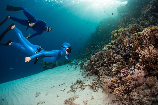 Snorkeling and Freediving Trip around Nusa Penida - Why this 10am manta start matters in Nusa Penida