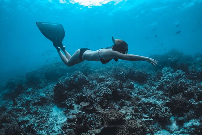Snorkeling and Freediving Trip around Nusa Penida - The three swim stops: Manta Point, Toyapakeh Wall, and SD Point