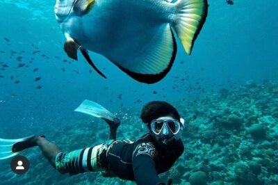 Snorkeling At Blue lagoon And Hidden waterfall - Blue Lagoon and nearby Tanjung Jepun snorkeling: fish, coral, and turtle odds
