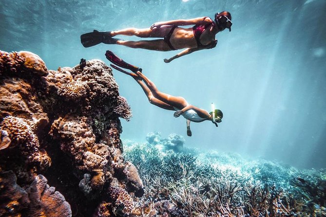 Snorkeling At Blue lagoon And Hidden waterfall - Should you book this Blue Lagoon and Kanto Lampo day?