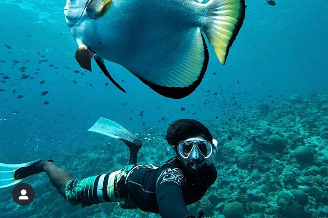 Snorkeling At Blue lagoon And Hidden waterfall - Blue Lagoon and nearby Tanjung Jepun snorkeling: fish, coral, and turtle odds