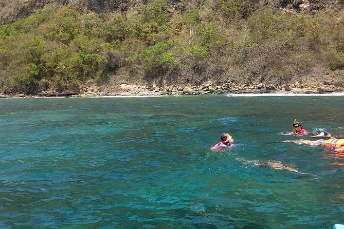 Snorkeling at Blue lagoon For walking customers - Blue Lagoon Stop: Turtle and Octopus Chances Plus Reef Beauty