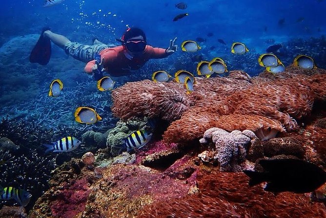 Snorkeling Day Trip To Lembongan and Penida - Pickup, Meeting Points, and Why Timing Matters