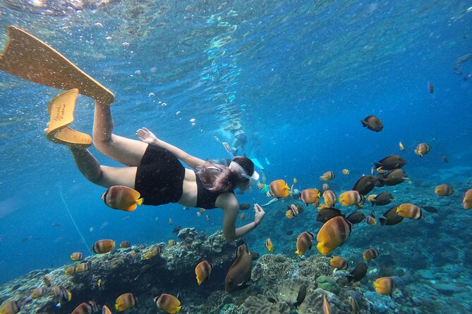 Snorkeling Day Trip To Lembongan and Penida - Price and Value: What $35-ish Buys You (and What It Doesn’t)