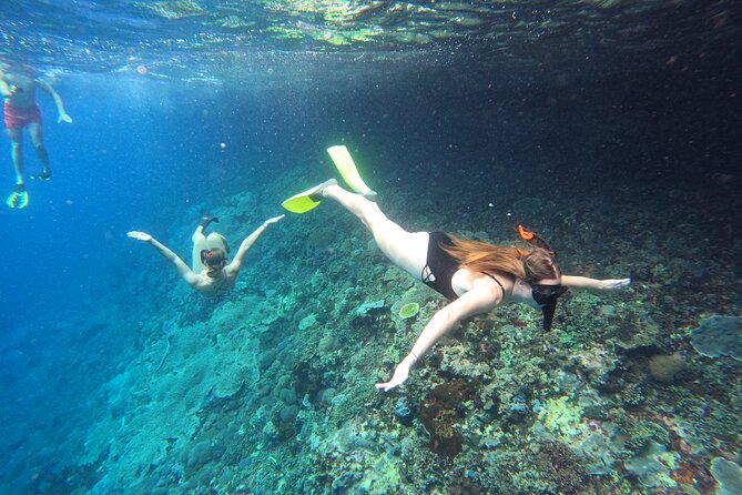 Snorkeling Day Trip to Nusa Lembongan and Nusa Penida - Key highlights worth getting excited about