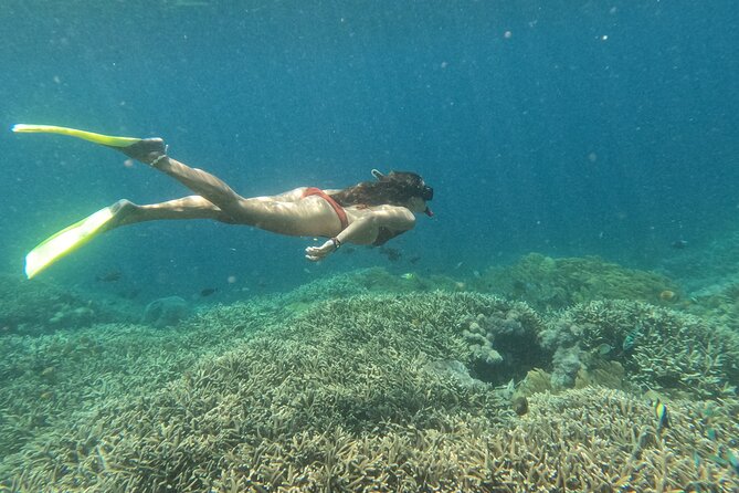 Snorkeling Day Trip to Nusa Lembongan and Nusa Penida - Why this snorkeling day trip fits Penida’s best moments