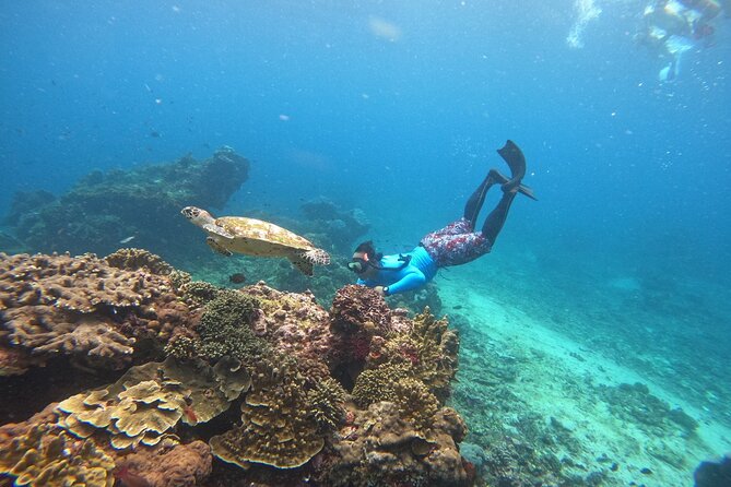 Snorkeling Day Trip to Nusa Lembongan and Nusa Penida - Stop 1 on Nusa Lembongan: reefs, variety, and getting your bearings