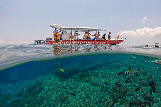 Snorkeling Day Trip to Nusa Lembongan and Nusa Penida - Stop 3 Mangrove Point on Nusa Lembongan: a different feel before you head back