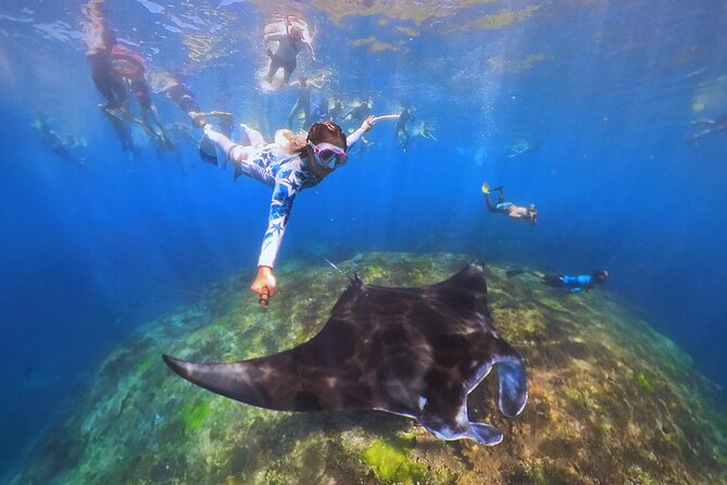 Snorkeling Day Trip to Nusa Lembongan and Nusa Penida - Lunch, snacks, and the small comforts that make a long day workable
