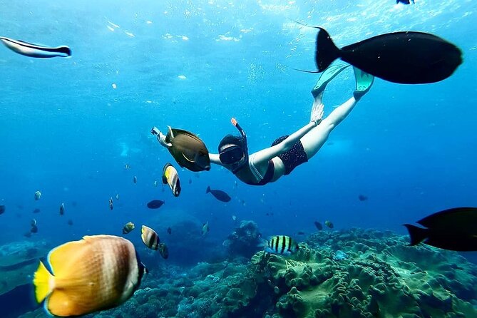 Snorkeling In Nusa Penida And Uluwatu Sunset Tours - Snorkeling: Crystal Bay, Gamat Bay, and Manta Point (What You Can Expect)