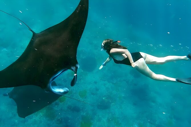 Snorkeling In Nusa Penida Departing From Bali Island - Key points worth knowing before you go