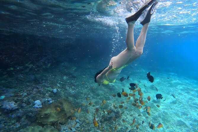 Snorkeling In Nusa Penida Departing From Bali Island - Gear and included GoPro shooting: what you’re really getting