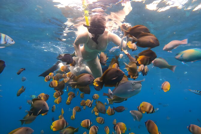 Snorkeling In Nusa Penida Departing From Bali Island - The tour pace: smooth when conditions work, rushed when they don’t