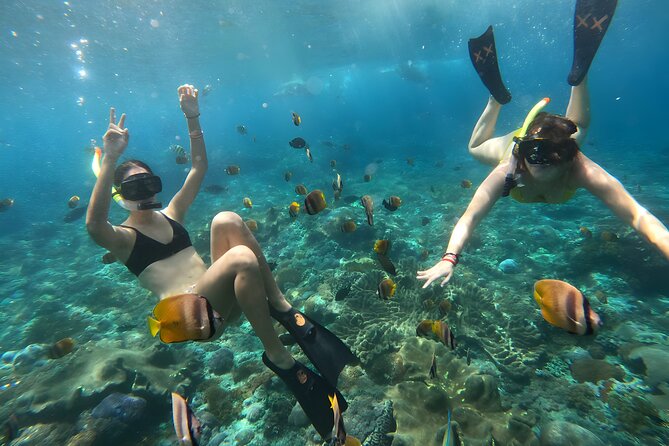 Snorkeling In Nusa Penida Departing From Bali Island - Crowds, boat traffic, and how to avoid the frustration