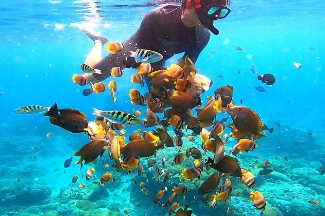 Snorkeling In Nusa Penida Departing From Bali Island - Price and value: is $104.50 a smart deal?