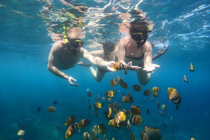Snorkeling In Nusa Penida Departing From Bali Island - Who this tour fits best (and who should skip it)