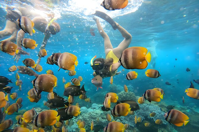 Snorkeling In Nusa Penida Departing From Bali Island - The public boat setup: good value, but expect company