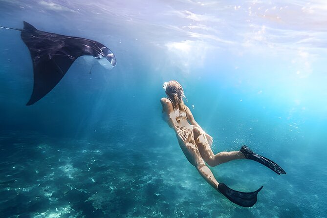 Snorkeling In Nusa Penida Island With Manta Ray From Bali - Key highlights to know before you go