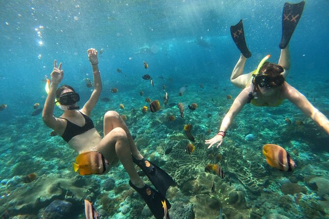 Snorkeling In Nusa Penida Island With Manta Ray From Bali - What Makes Nusa Penida Manta Snorkeling Different from a Usual Day Trip