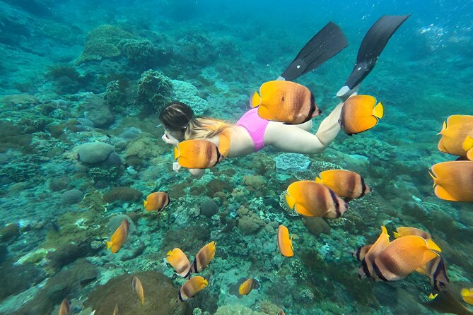 Snorkeling In Nusa Penida Island With Manta Ray From Bali - How the Snorkeling Stops Work: Crystal Bay, Wall Point, Gamat Bay, and Manta Bay