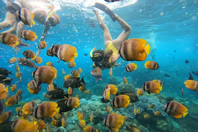 Snorkeling In Nusa Penida Island With Manta Ray From Bali - Timing That Matters: How Much Snorkeling Time You Really Get