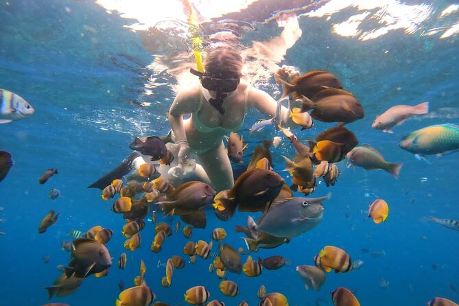 Snorkeling In Nusa Penida Island With Manta Ray From Bali - Seminyak to Sanur to Nusa Penida: The Morning Logistics That Make or Break the Day