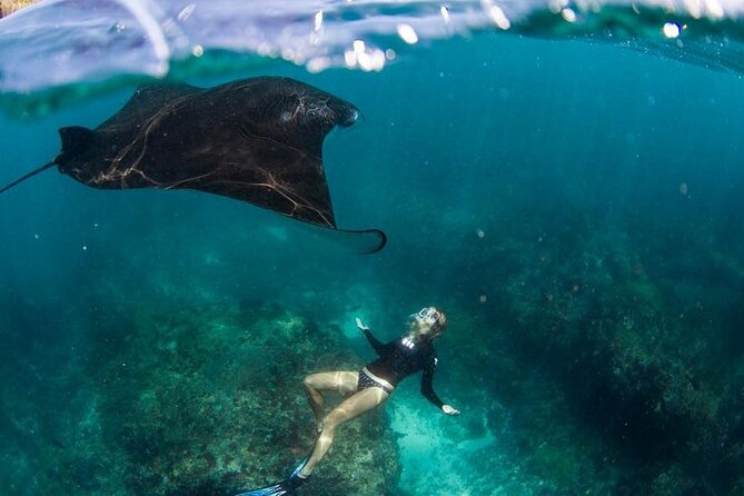 Snorkeling Manta Ray in Nusa Lembongan - How the 2-Hour Session Really Works