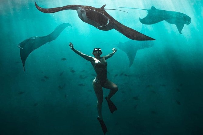 Snorkeling Manta Ray Safari in Nusa Penida - Key Things I’d Pay Attention To