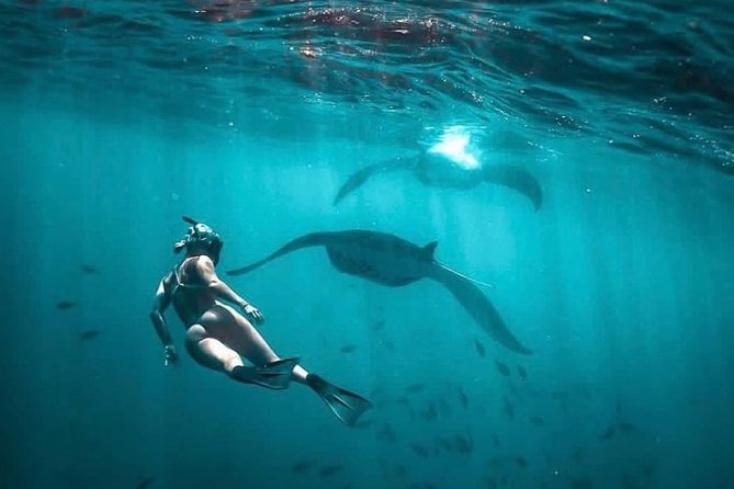 Snorkeling Manta Ray Safari in Nusa Penida - A Note on Comfort: Cold Water and Swim Gear Choices