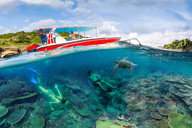 Snorkeling Manta Ray Safari in Nusa Penida - Getting There: Where You Meet and How to Plan Your Timing
