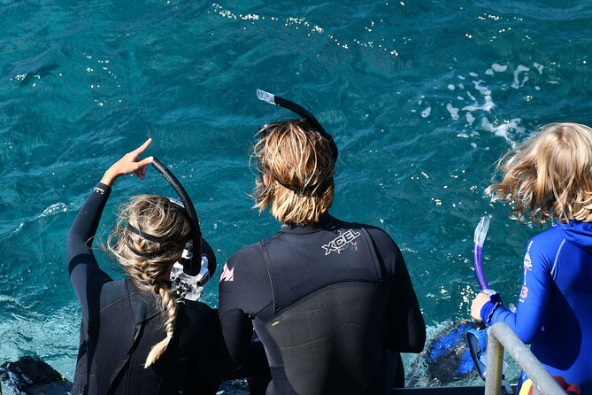 Snorkeling Manta Rays, Land Tour Tembeling Pool & Kelingking - Price and Value: What $18.35 Really Gets You