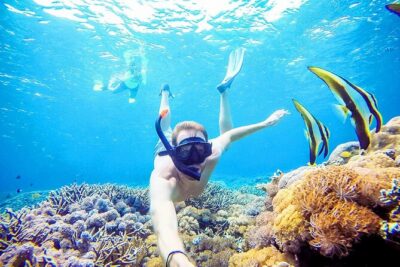 Snorkeling Nusa Penida and Island Tour Package - Snorkeling at Manta Point, Wall Point, and Mangrove Point