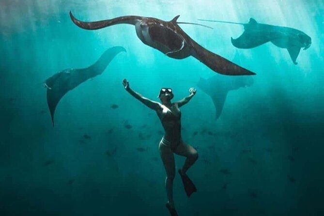 Snorkeling Nusa Penida and Island Tour Package - Lunch on Nusa Penida: included, but don’t expect restaurant perfection