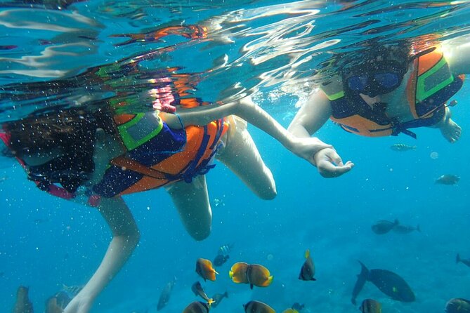 Snorkeling Nusa Penida and Island Tour Package - Price and value: is $90 per person a fair deal?