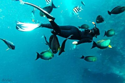 Snorkeling Package at Tulamben Liberty Shipwreck - Price and Value: What $58.98 Really Buys You
