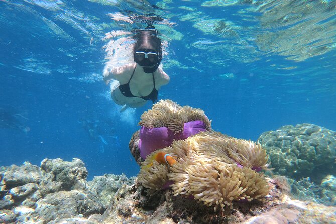 Snorkeling Tour at Blue Lagoon with Private Hotel Transfer - Key Things I’d Book This For