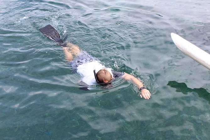 Snorkeling Tour at Blue Lagoon with Private Hotel Transfer - Private Hotel Transfer From Ubud and South Bali