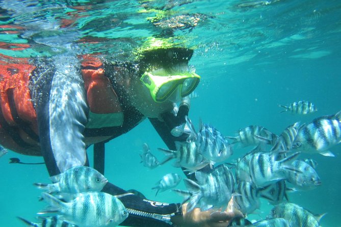 Snorkeling Tour at Blue Lagoon with Private Hotel Transfer - The Traditional Boat Snorkeling Plan (Blue Lagoon + Tanjung Jepun)