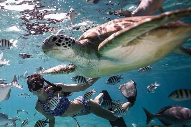 Snorkeling Tour In Gili Trawangan, Gili Meno And Gili Air Pick Up From Bali - The 6:30 am start: the schedule that shapes your whole day