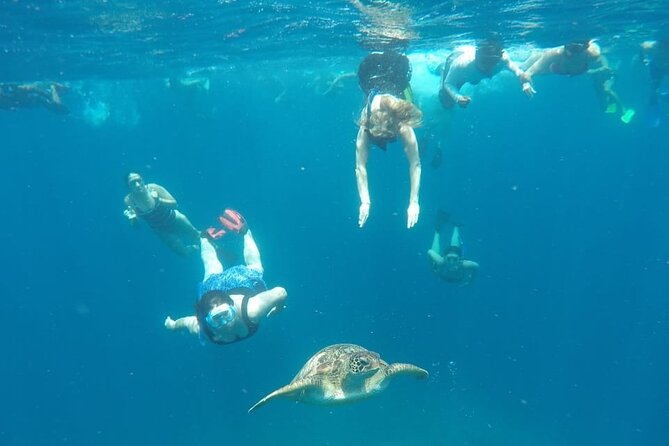 Snorkeling Tour In Gili Trawangan, Gili Meno And Gili Air Pick Up From Bali - Gili Trawangan Turtle Spot: first snorkel, best energy