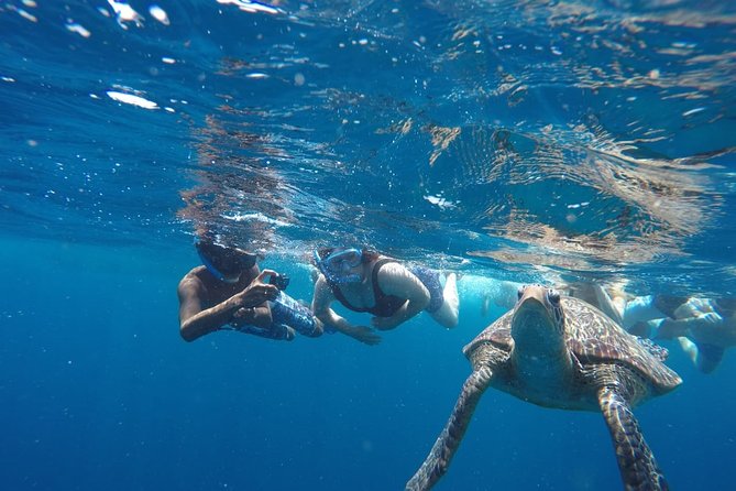 Snorkeling Tour In Gili Trawangan, Gili Meno And Gili Air Pick Up From Bali - Gili Meno statue-and-turtle snorkeling: where the scenery helps