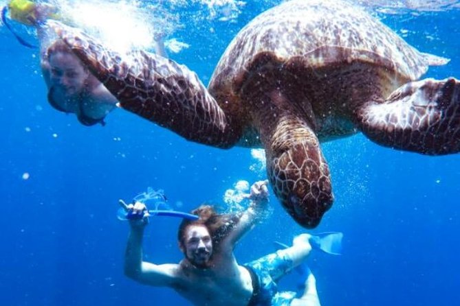 Snorkeling Tour In Gili Trawangan, Gili Meno And Gili Air Pick Up From Bali - Price and value: what you are really paying for at $275