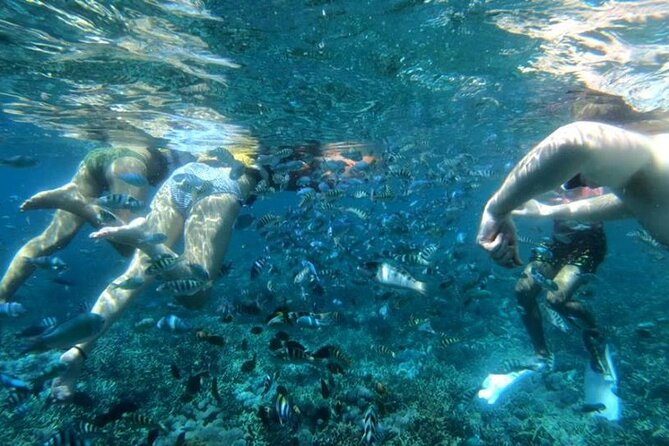 Snorkeling Trips with Manta Ray from Nusa Lembongan - Stop 1: THE MANTA POINT (Your Best Shot for Mantas)