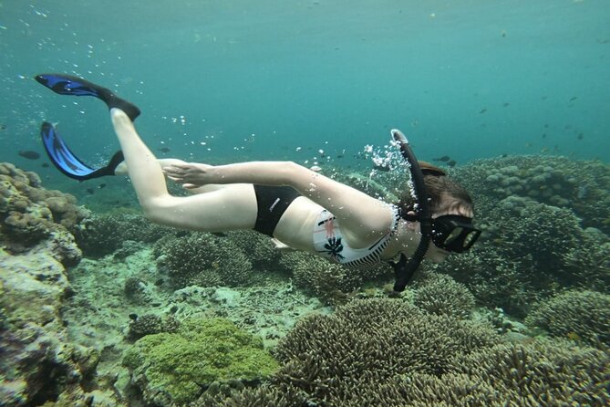 Snorkeling Trips with Manta Ray from Nusa Lembongan - Price, Time, and How You’ll Get There (Without the Headache)