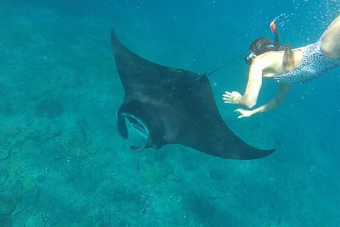 Snorkeling with Manta Rays in Their Habitat with Manta Point - First Step: Finding the Boat at Banjar Nyuh Harbor