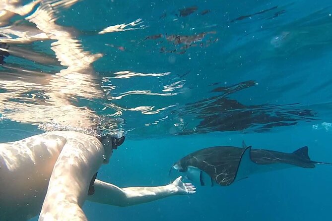 Snorkeling with Manta Rays in Their Habitat with Manta Point - Boat Ride Comfort: What’s Included, and What You Should Watch